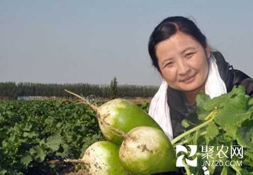 图片8