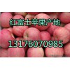 山东苹果种植基地红富士苹果产地供应