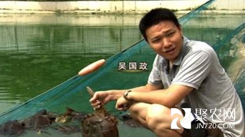 图片5