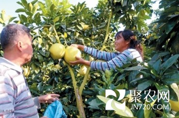 图片7