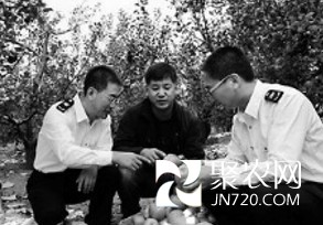 图片12