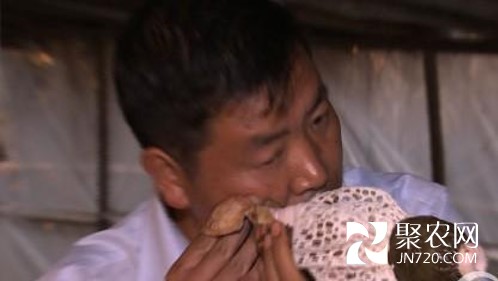 图片4