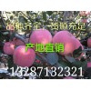 13287132321红富士苹果6毛了