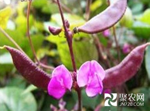 图片11