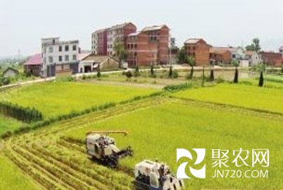 图片10