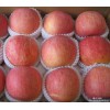 山东红富士苹果收购价格直销产地