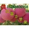 批发山东纸袋红富士苹果产地