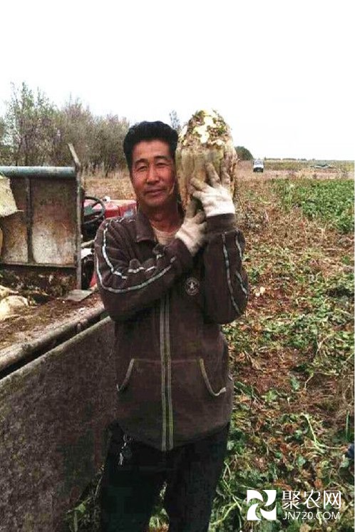 图片21