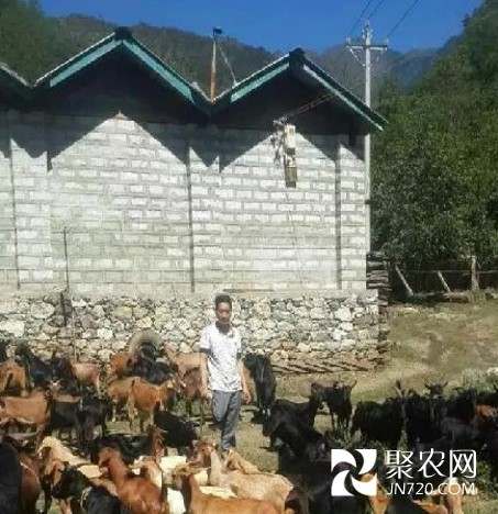 图片12