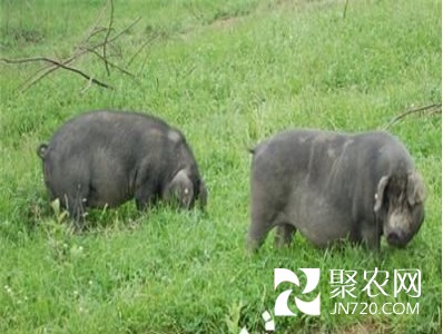 图片13