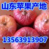 山东地区红富士苹果哪里最好吃，哪里红富士苹果便宜质量最好