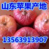 山东地区红富士苹果哪里最好吃，哪里红富士苹果便宜质量最好