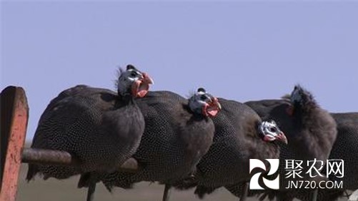 图片14