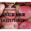 山东沂蒙红富士苹果价格纸袋红富士苹果产地