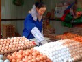 全国鸡蛋价格整体呈微幅上涨走势
