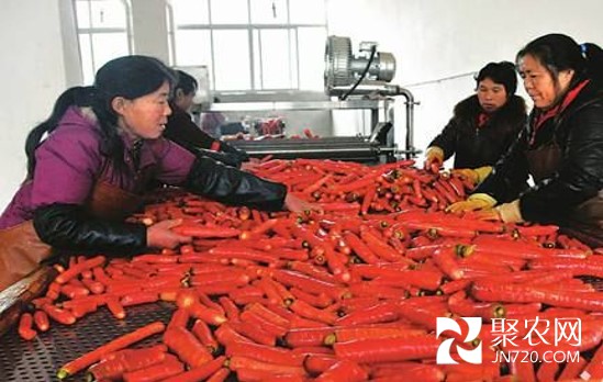 图片9