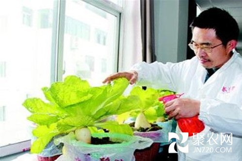图片2