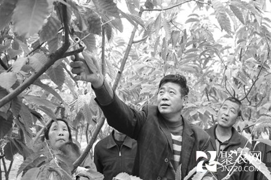 图片7