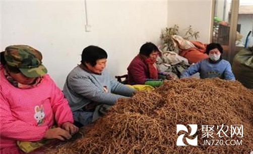 图片4