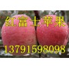 山东红富士价格下滑/苹果产地0.5价格