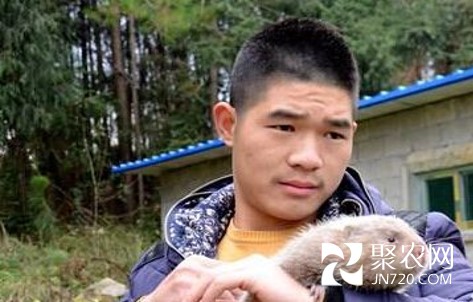 图片3