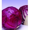 紫甘蓝种子，蔬菜种子
