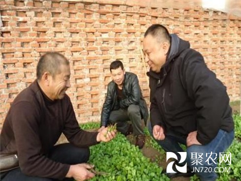 图片5