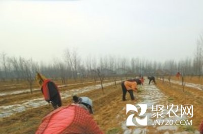图片8