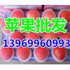 【掉价了】山东红富士苹果批发价格１３９６９９６０９９３