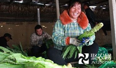 图片2