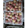 山东红富士苹果基地供应价格