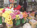 清明节将至漳州鲜花酝酿涨价