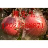 山东红富士苹果产地红富士苹果供应