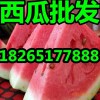 【今年山东优质西瓜最新价格】