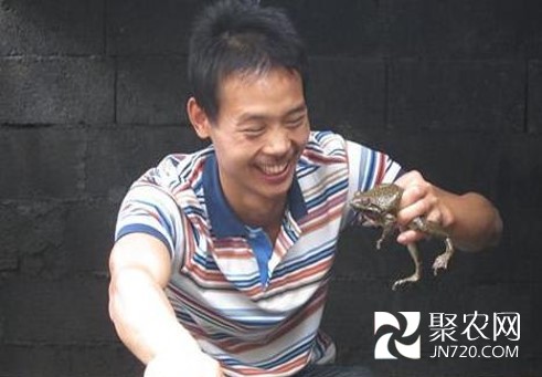 图片1