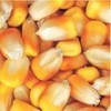 枣阳傲农现代农业常年求购玉米豆粕棉粕麸皮次粉等饲料原料