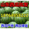 １８７６４９５８２２２油桃/山东苹果/甜瓜/西瓜产地价格