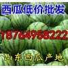 京欣西瓜产地报价 山东大型西瓜基地 临沂西瓜市场批发