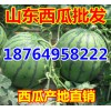 １８７６４９５８２２２西瓜掉价/山东甜瓜/油桃/西瓜产地批发
