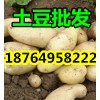 供应土豆批发基地 山东土豆产地 今日土豆价格行情