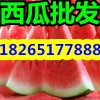 【现在山东优质西瓜最新价格】