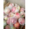 山东苹果种植基地，苹果市场批发价格