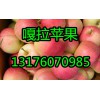 山东嘎拉美八苹果产地直销13176070985