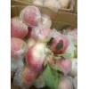 山东省大量美八苹果产地价格
