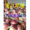 山东省苹果产地供应嘎拉美八红星苹果