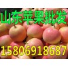 山东红星苹果批发基地价格