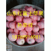 山东红星苹果红将军苹果大量上市18769916981