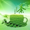 2016第十二届北京国际茶业暨茶文化博览会