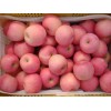 15020310061山东产地果园红富士苹果直销批发价格