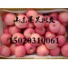 15020310061产地大量批发脆甜红富士苹果